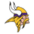 Vikings badge