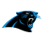 Panthers badge