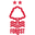 Nottingham Forest badge