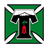 Deportes Temuco badge