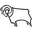 Derby County badge