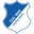 Hoffenheim badge
