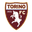 Torino badge