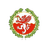 team badge