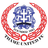 team badge