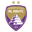 Al Ain badge