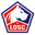 Lille badge