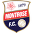 Montrose badge