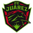 Team logo