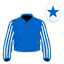 Star Of State silk