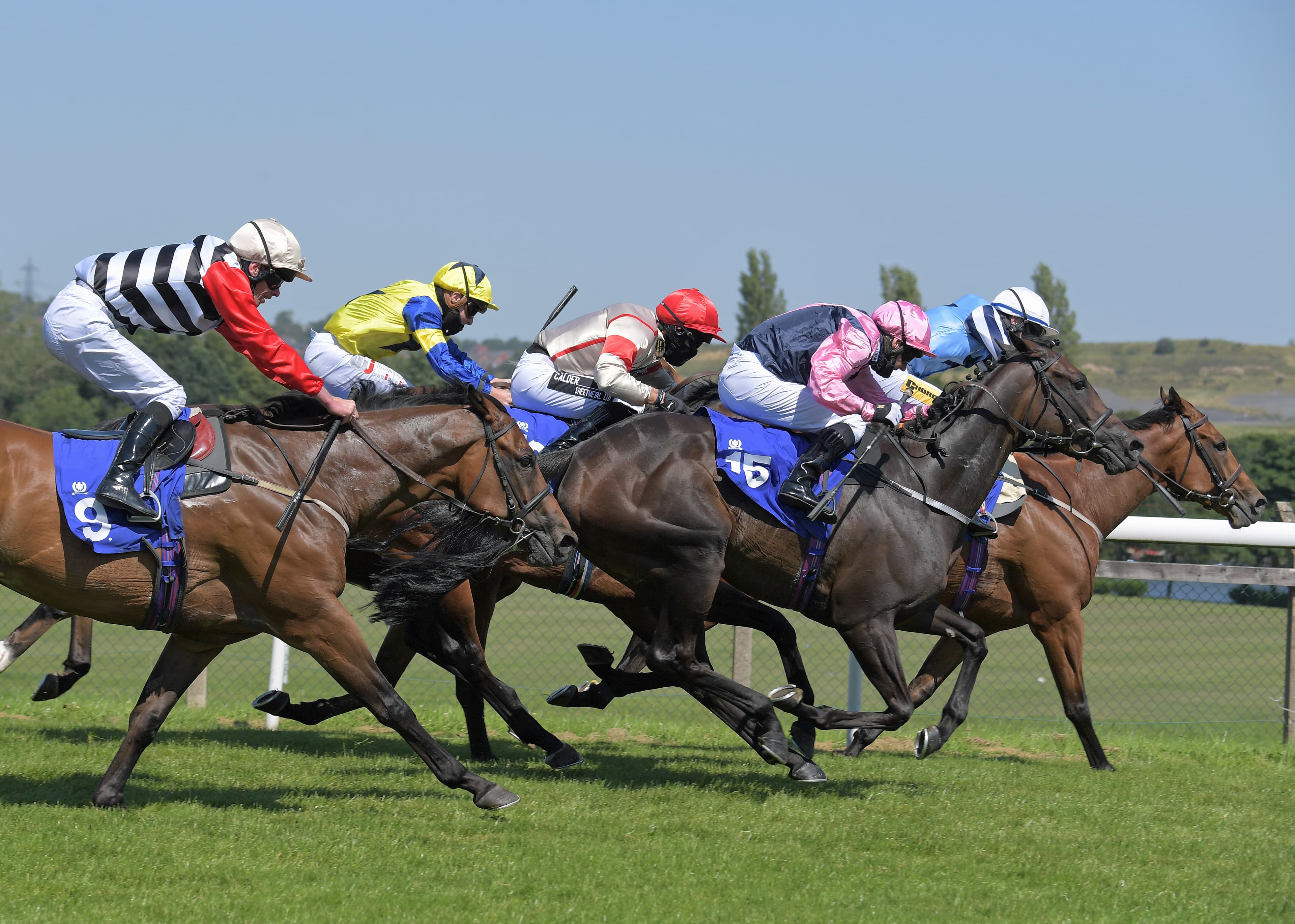 ITV Racing Tips – Sunday 17th May 2026 Best Bets for Hamilton & Naas