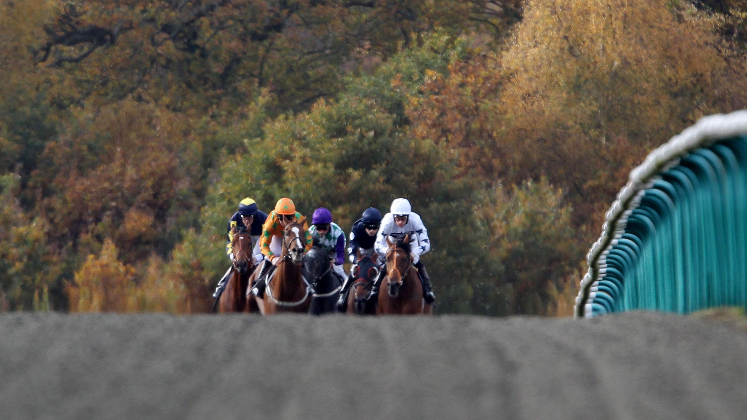 ITV Racing Tips – Saturday 9th May 2026 Best Bets for Lingfield, Haydock & Ascot