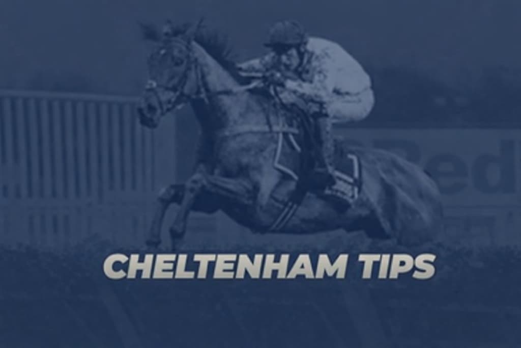 FA Cheltenham Tips
