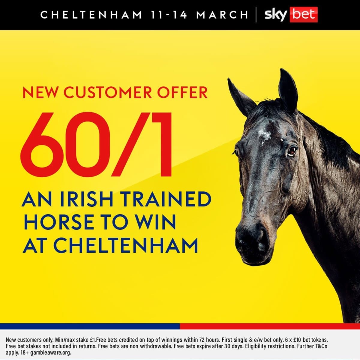 SkyBet
