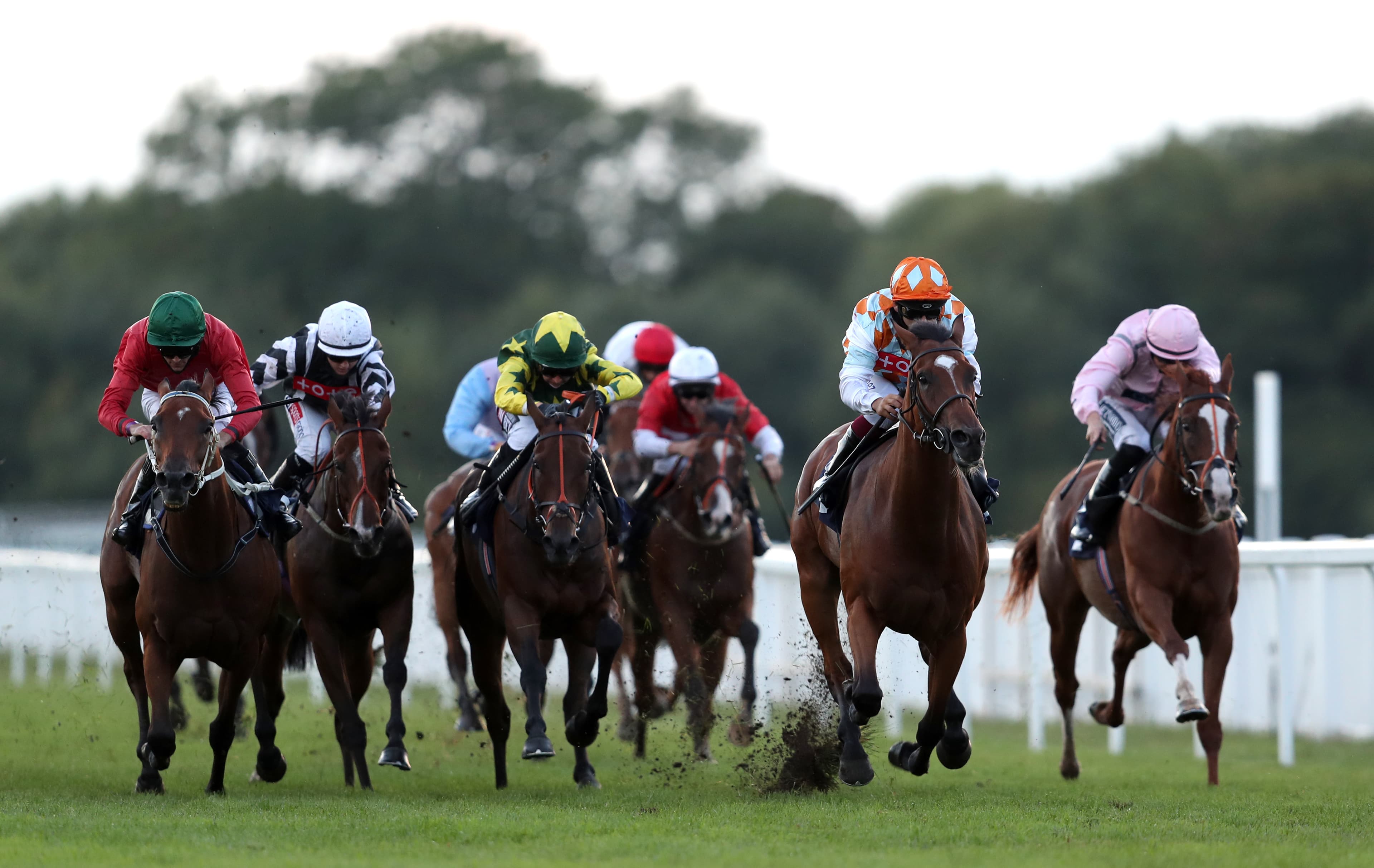 ITV Racing Tips – Friday 16th January 2026 Best Bets for Windsor, Market Rasen & Newcastle