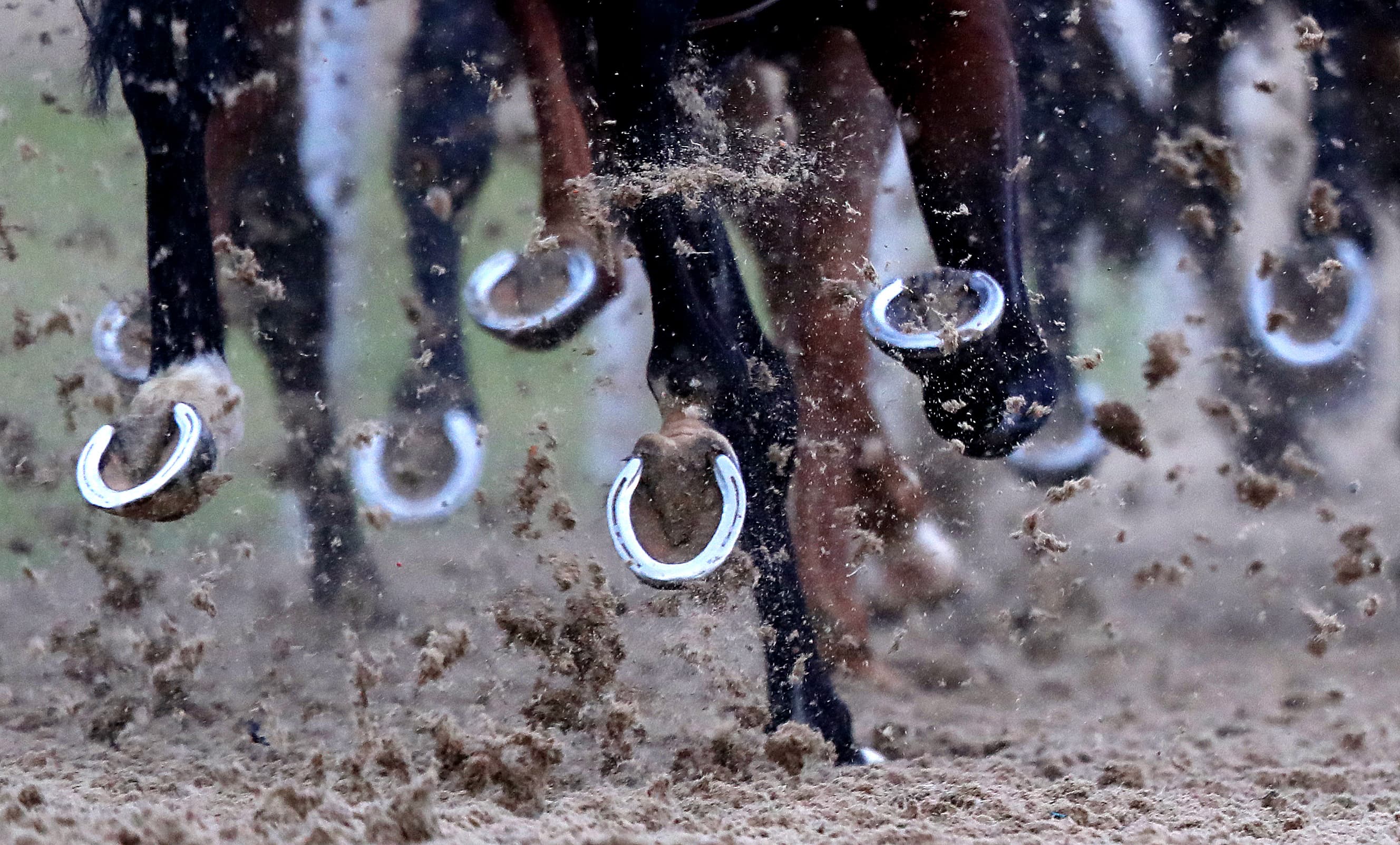 ITV Racing Tips – Friday 9th January 2026 Best Bets for Friday Night Live Wolverhampton