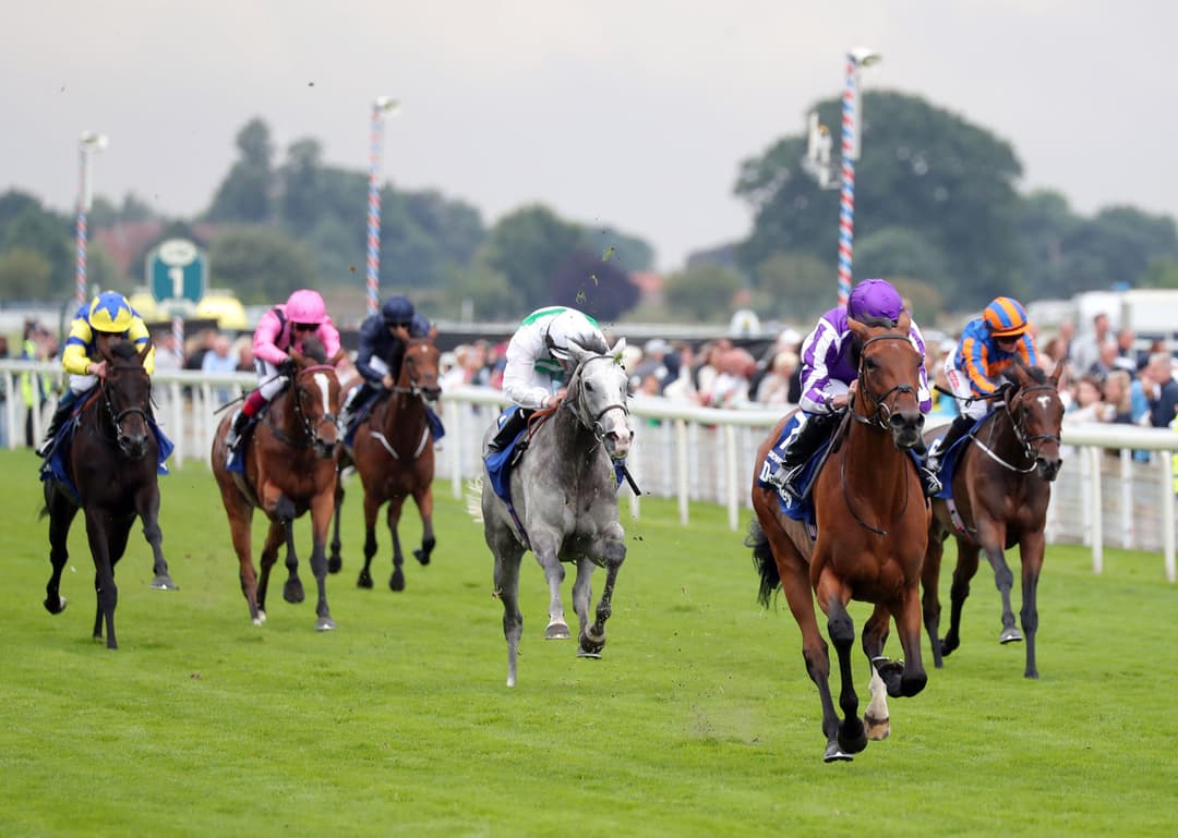 ITV Racing Tips for Thursday 15th May 2025 - York & Salisbury | Footy ...