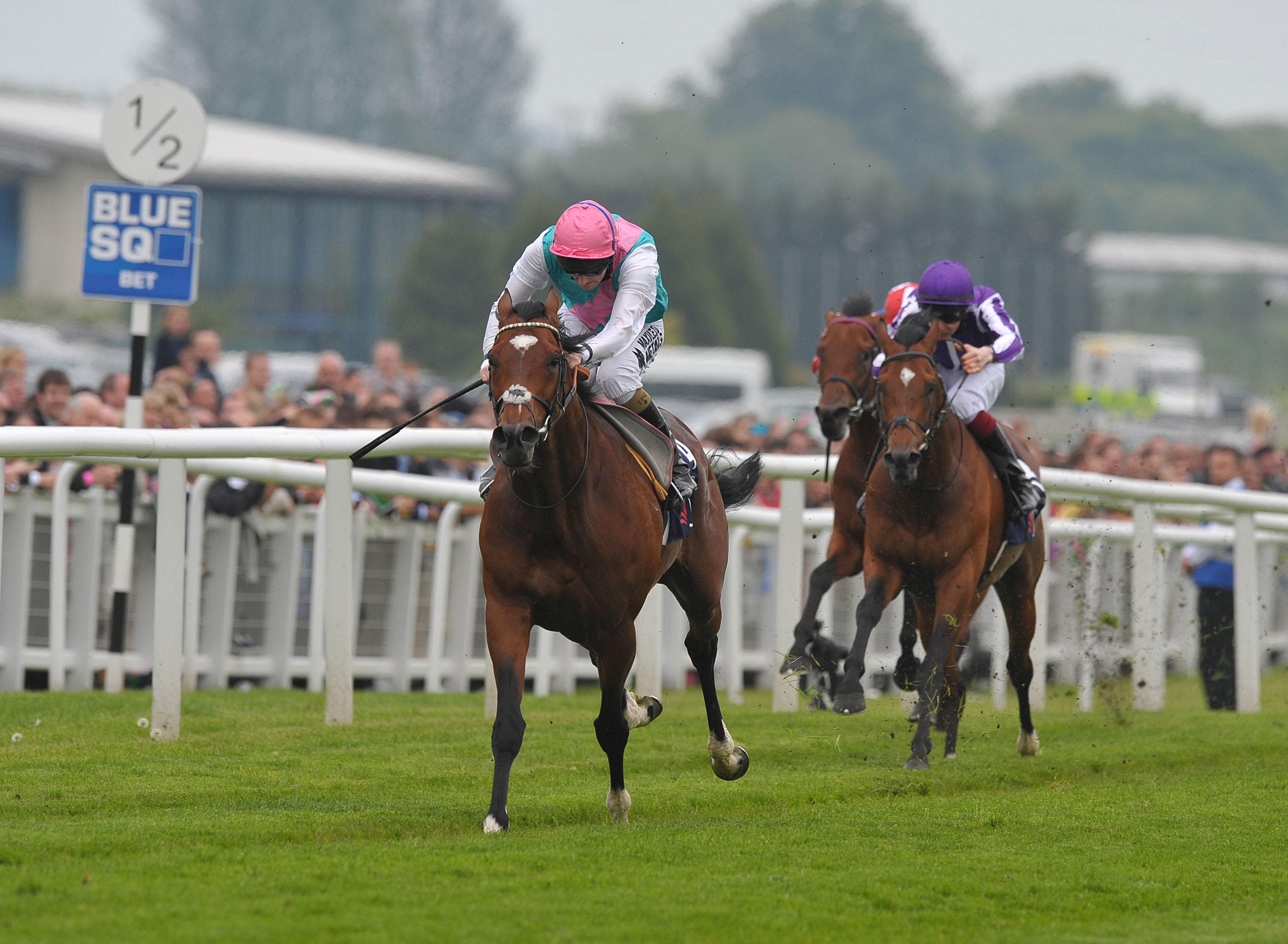 ITV Racing Tips – Saturday 15th August 2026 Best Bets for Newbury, Ripon & Newmarket