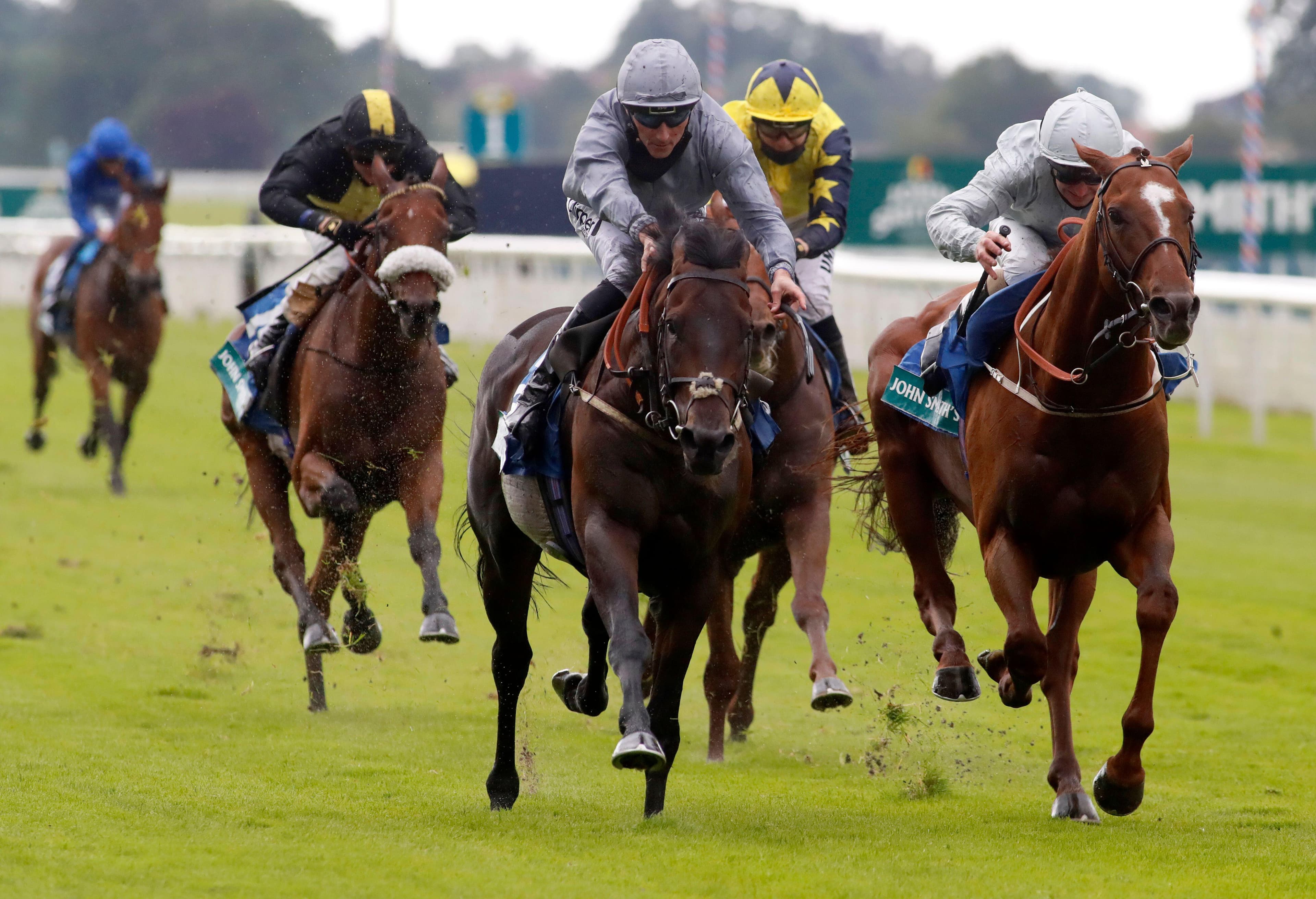 ITV Racing Tips – Thursday 14th May 2026 Best Bets for York & Salisbury