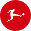 Bundesliga badge