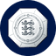 Community Shield badge