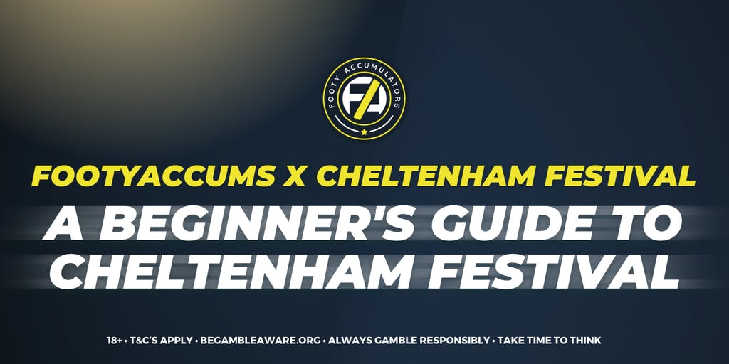 Cheltenham Beginner's Guide