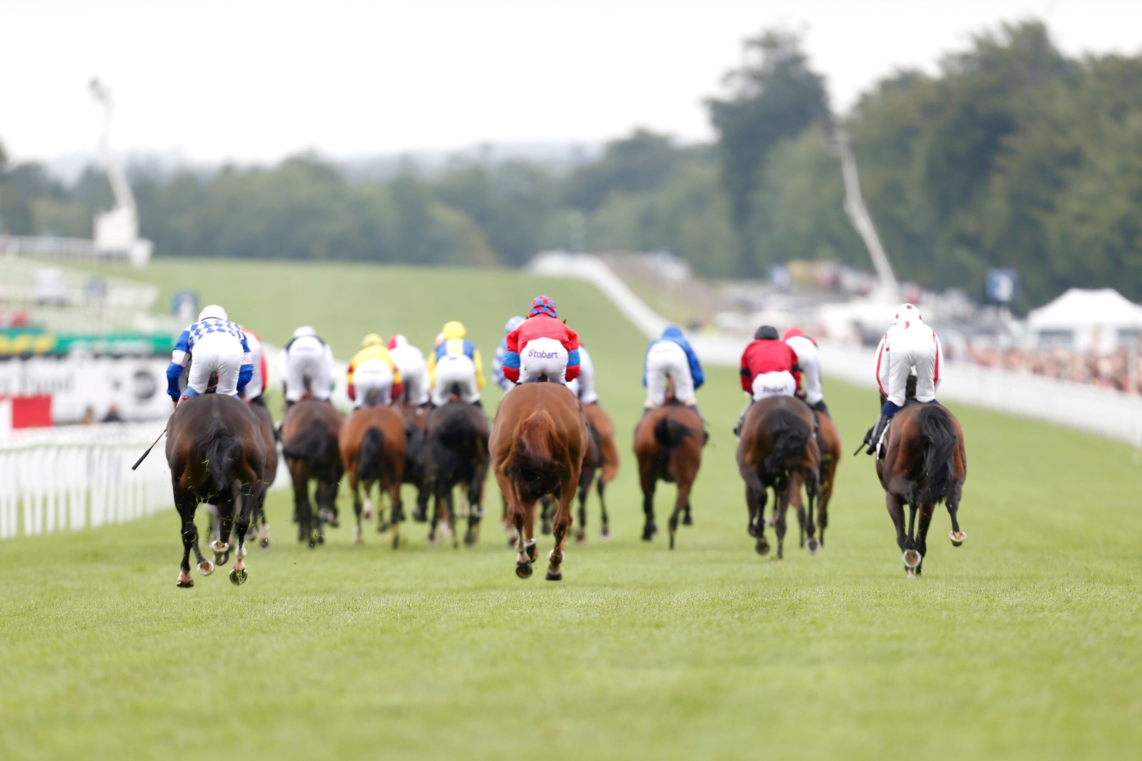 ITV Racing Tips – Saturday 1st August 2026 Best Bets for Glorious Goodwood, Newmarket & Thirsk