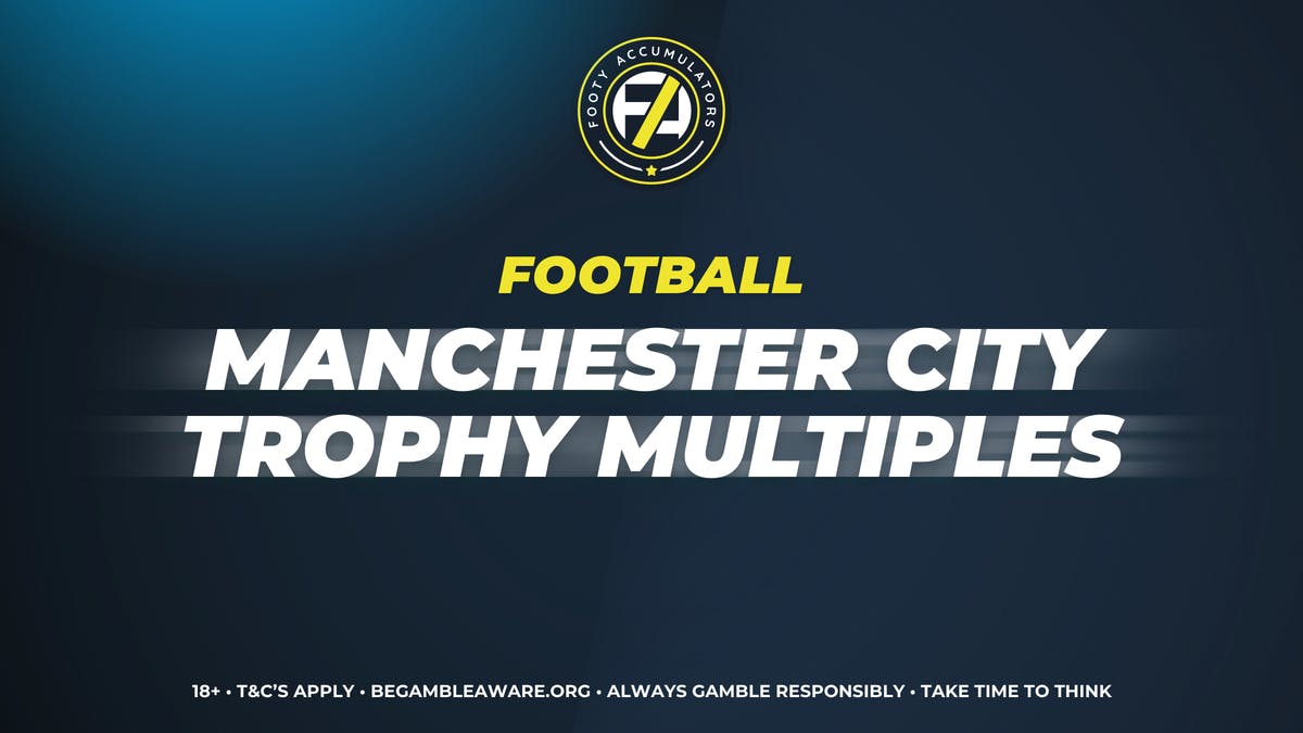 Manchester City Trophy Multiples